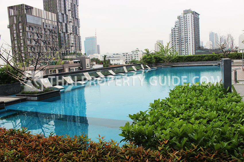 Condominium in Sukhumvit 