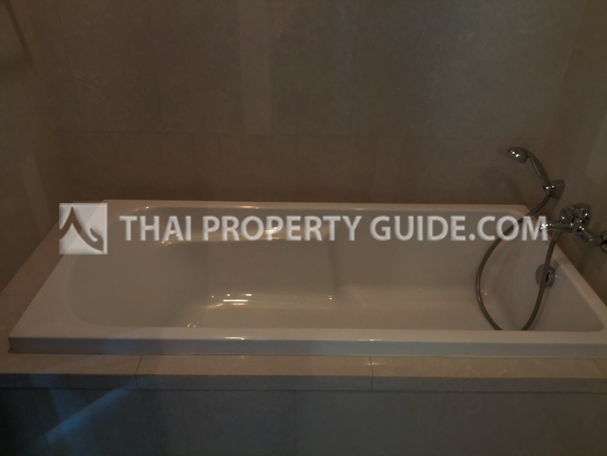 Condominium in Sukhumvit : Quattro By Sansiri 