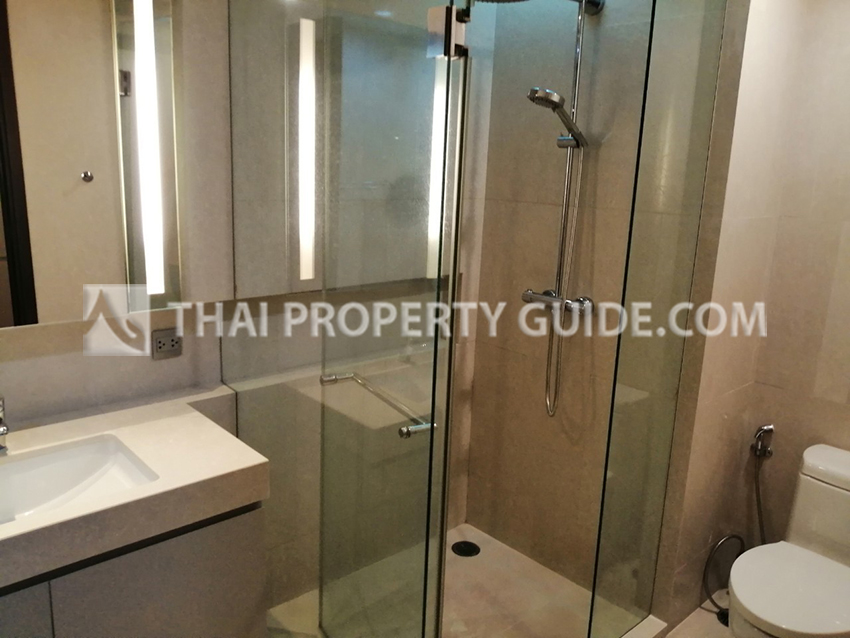 Condominium in Sukhumvit : Quattro By Sansiri 