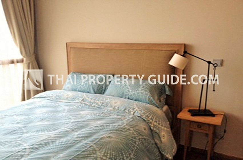 Condominium in Sukhumvit : Quattro By Sansiri 