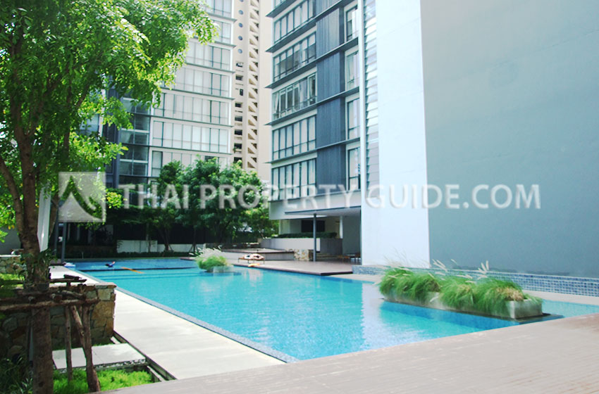 Condominium in Sukhumvit : Domus Condo Suk 16 