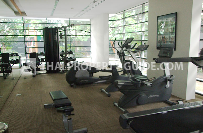 Condominium in Sukhumvit : Domus Condo Suk 16 