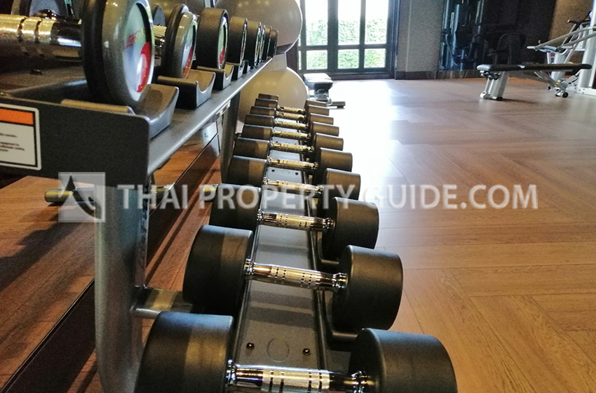 Condominium in Sukhumvit 