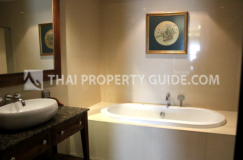 Condominium in Sukhumvit : The Madison Condominium 