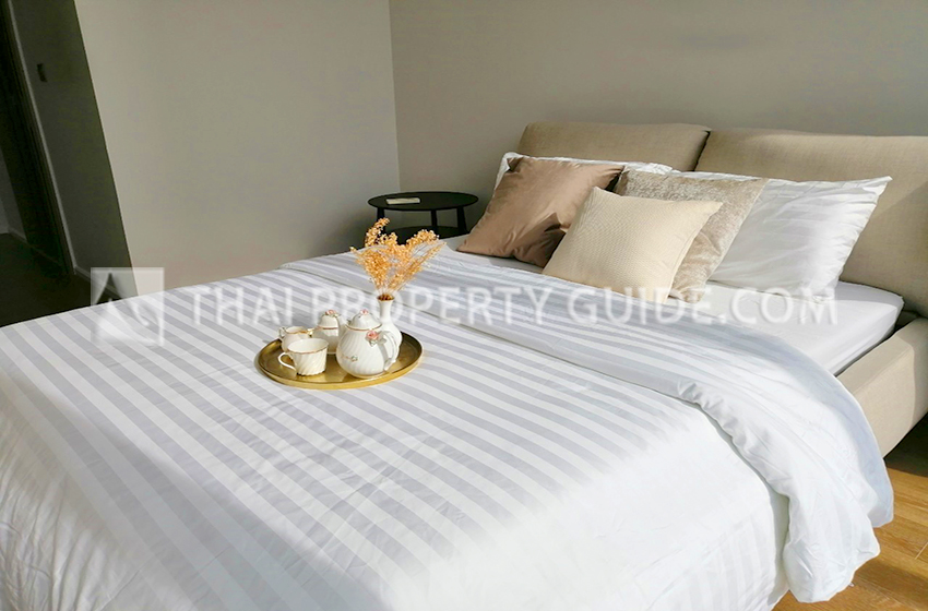Condominium in Sukhumvit 