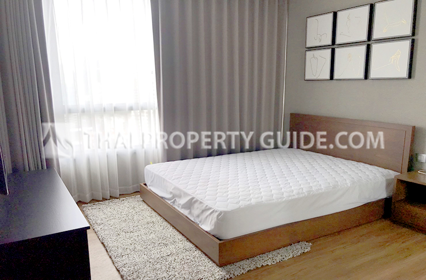 Condominium in Sukhumvit 