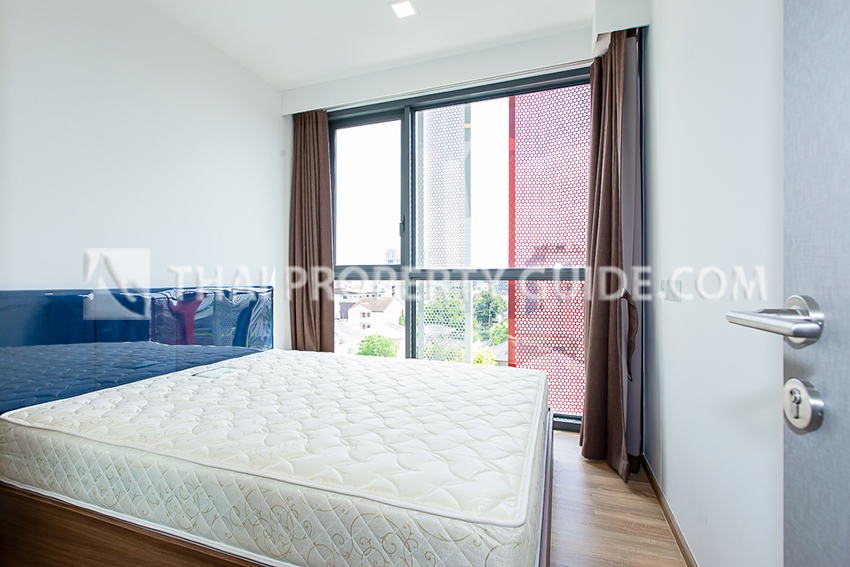 Condominium in Sukhumvit 