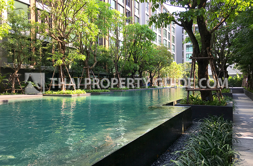 Condominium in Sukhumvit 