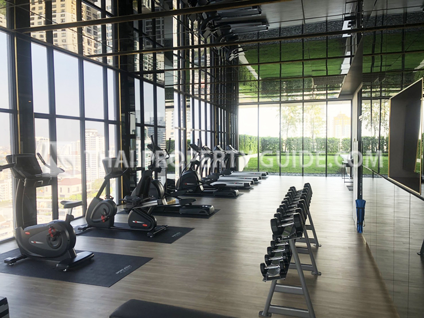 Condominium in Sukhumvit : Siamese Exclusive 31 