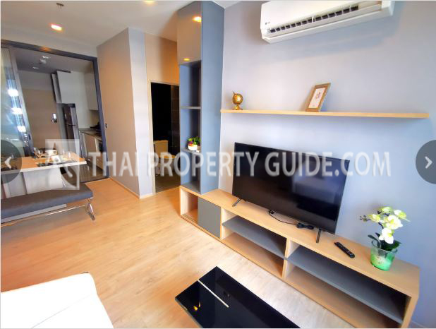Condominium in Sukhumvit 