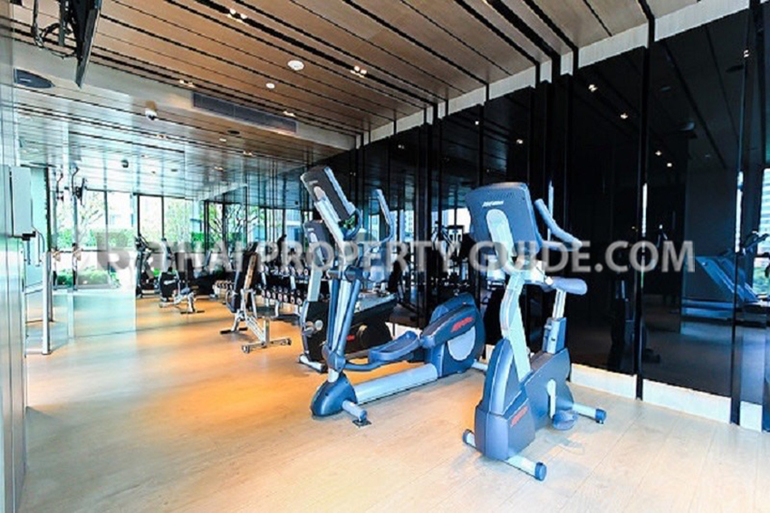 Condominium in Sukhumvit : Quattro By Sansiri 