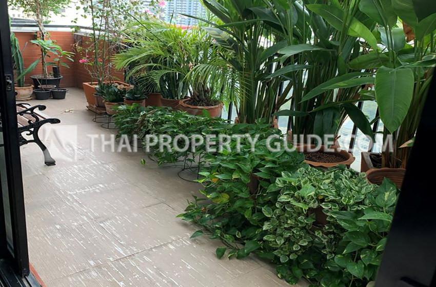 Condominium in Sukhumvit 