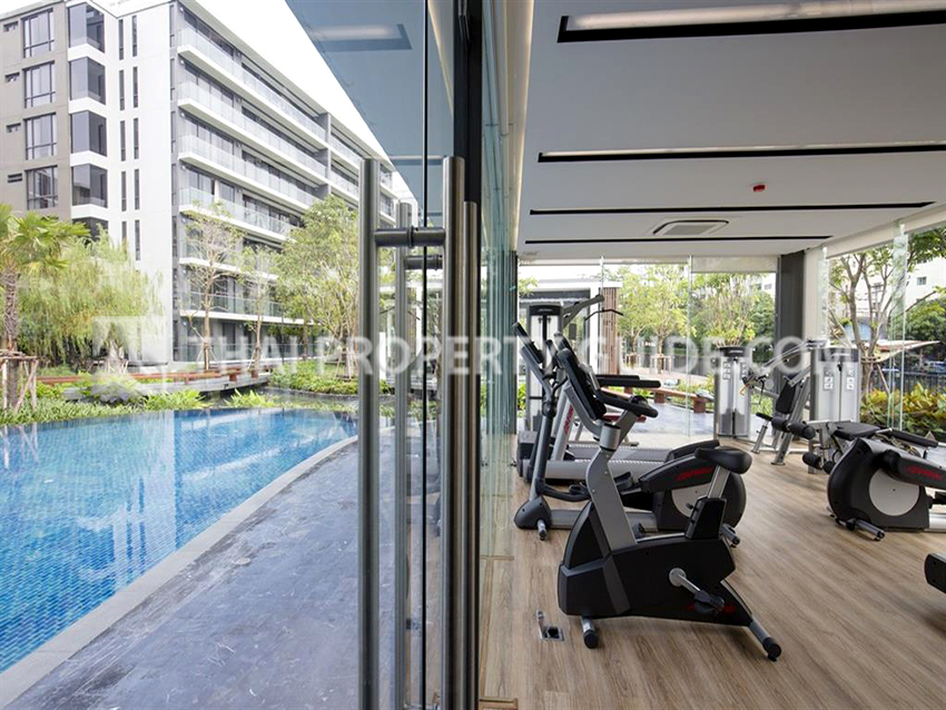 Condominium in Sukhumvit 