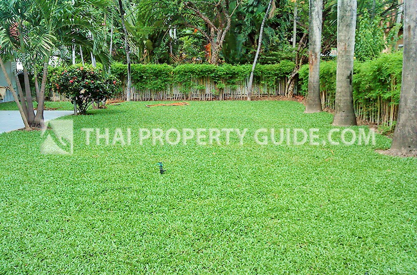 House in Sukhumvit 