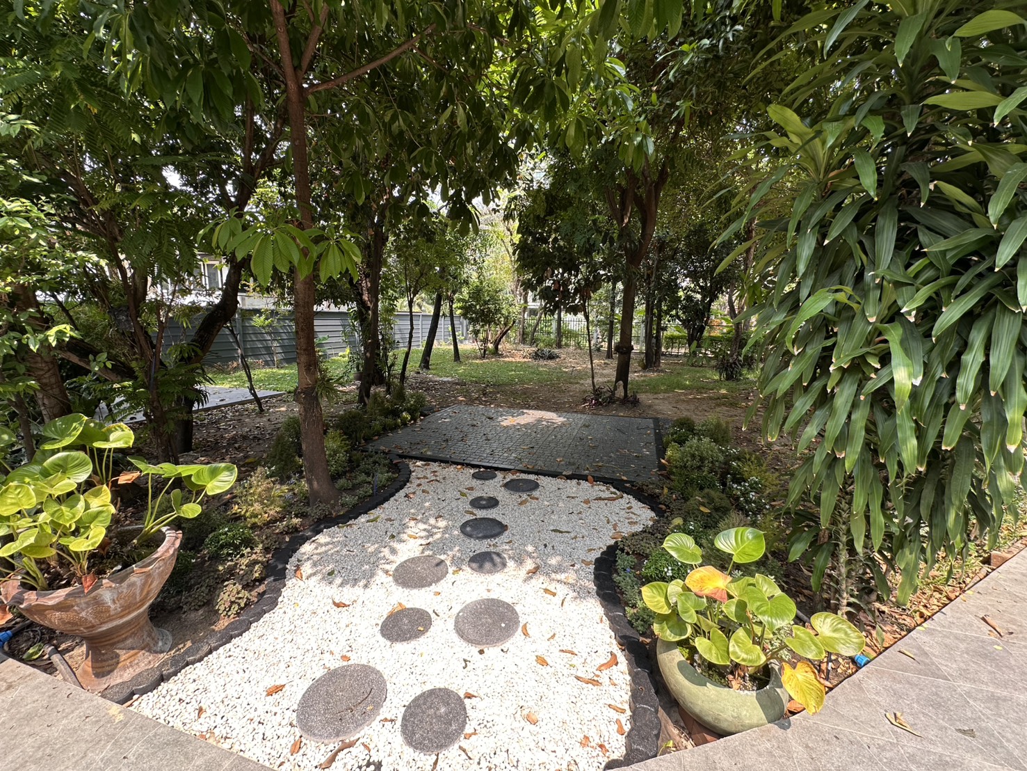 House in Sukhumvit 