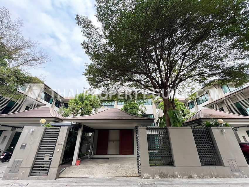 House with Private Pool for rent in Sukhumvit