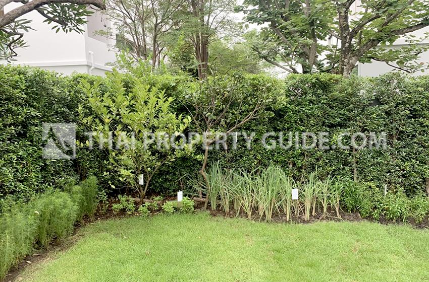 House with Shared Pool in Rama 9 