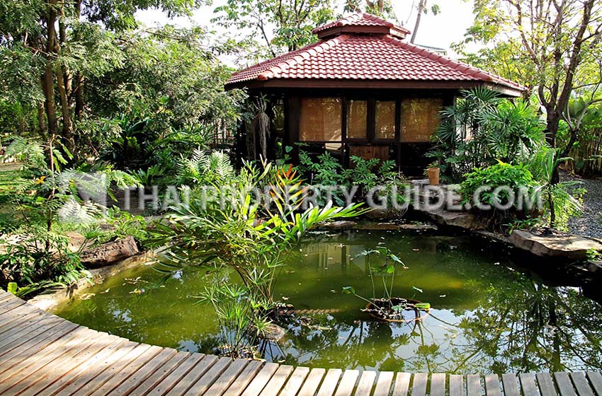 House with Shared Pool for rent in Srinakarin