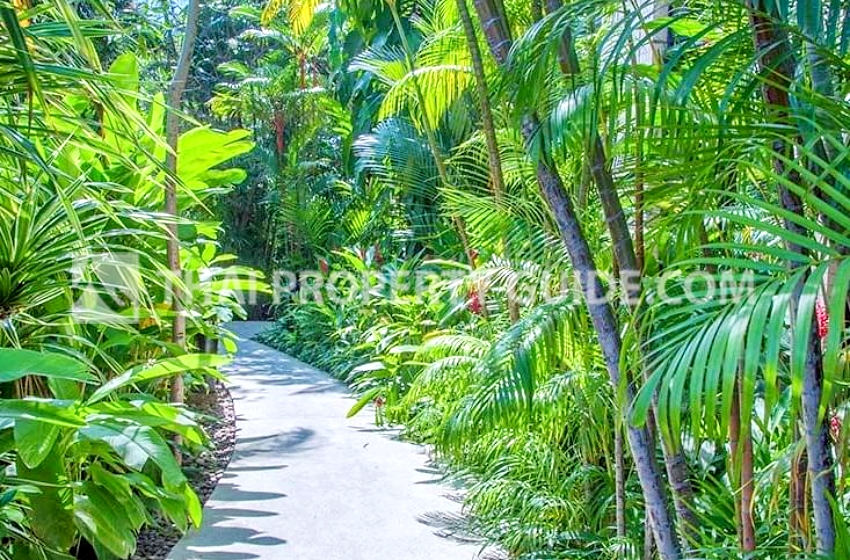 Service Apartment in Sukhumvit 